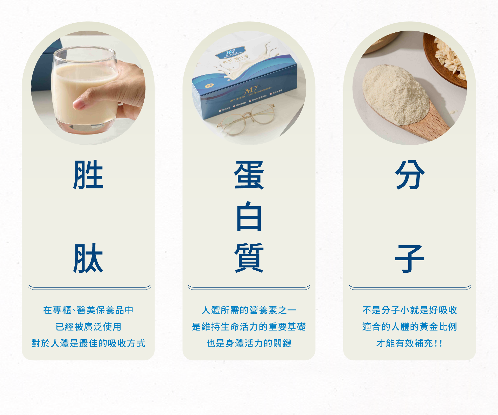 胜肽、蛋白質、分子